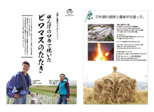 天然ビワマスのたたき
